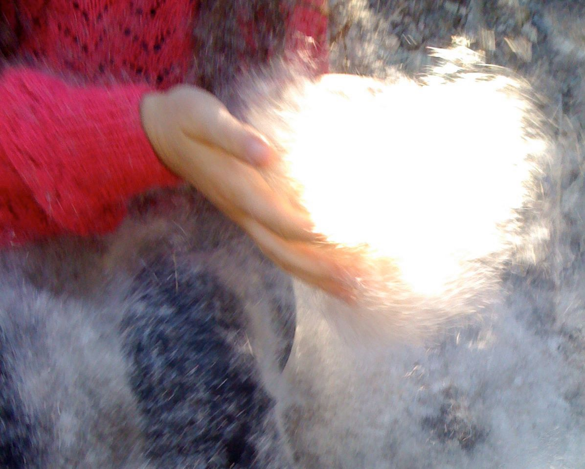 Image provided for Perlezen's partner profile